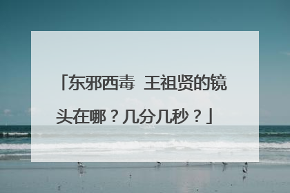 东邪西毒 王祖贤的镜头在哪？几分几秒？