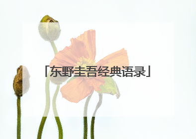 东野圭吾经典语录