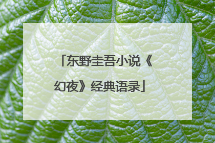 东野圭吾小说《幻夜》经典语录