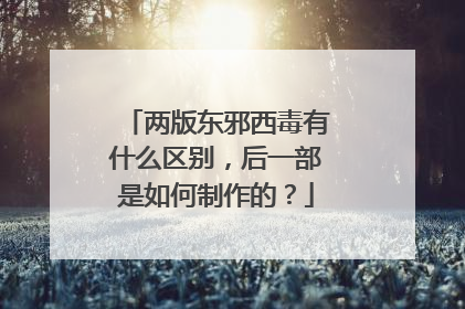 两版东邪西毒有什么区别，后一部是如何制作的？