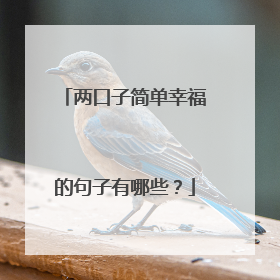 两口子简单幸福的句子有哪些?