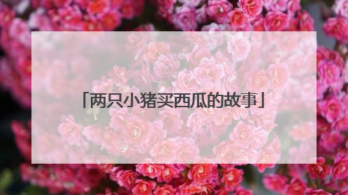 两只小猪买西瓜的故事