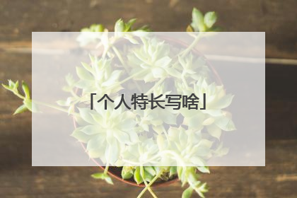 个人特长写啥
