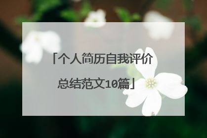 个人简历自我评价总结范文10篇