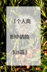 个人离职申请简短5篇
