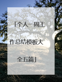个人一周工作总结模板大全五篇