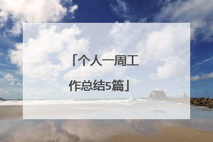 个人一周工作总结5篇