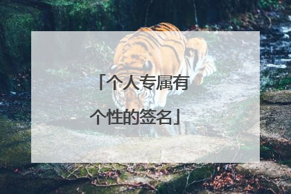 个人专属有个性的签名