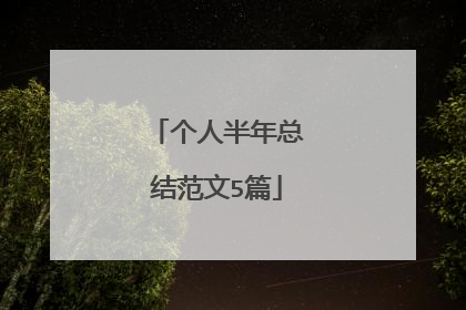 个人半年总结范文5篇