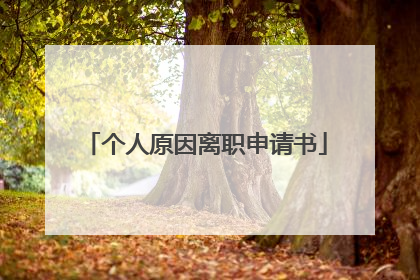 个人原因离职申请书