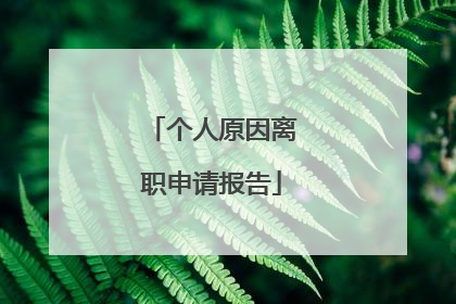 个人原因离职申请报告