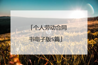 个人劳动合同书电子版5篇