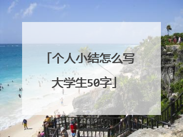 个人小结怎么写大学生50字