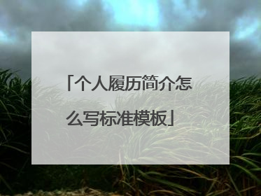 个人履历简介怎么写标准模板