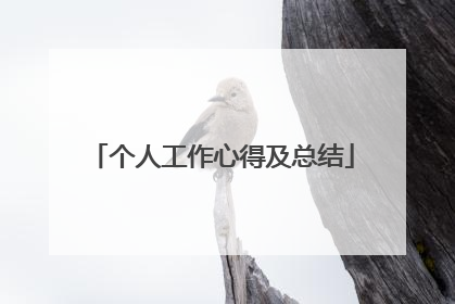 个人工作心得及总结