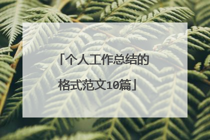 个人工作总结的格式范文10篇