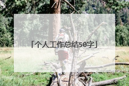 个人工作总结50字