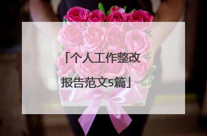 个人工作整改报告范文5篇