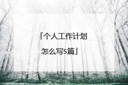个人工作计划怎么写5篇