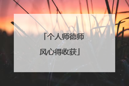个人师德师风心得收获