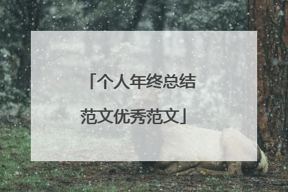 个人年终总结范文优秀范文