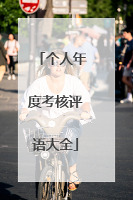 个人年度考核评语大全