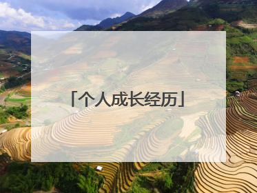 个人成长经历