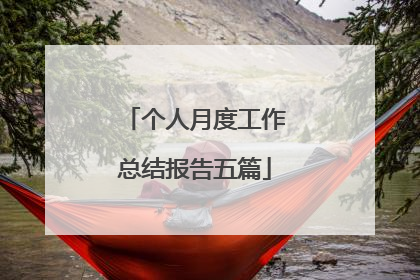 个人月度工作总结报告五篇