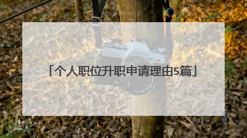 个人职位升职申请理由5篇