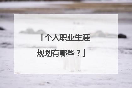 个人职业生涯规划有哪些？