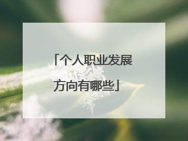 个人职业发展方向有哪些