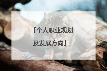 个人职业规划及发展方向