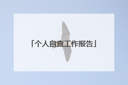 个人自查工作报告