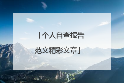 个人自查报告范文精彩文章