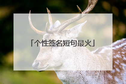 个性签名短句最火