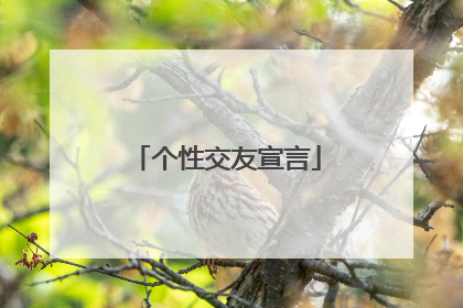 个性交友宣言
