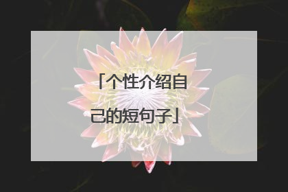 个性介绍自己的短句子