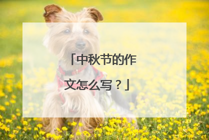 中秋节的作文怎么写?