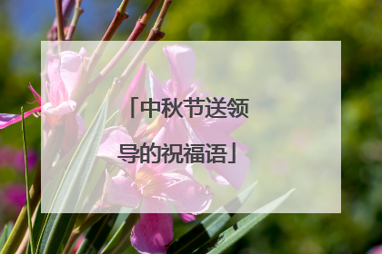 中秋节送领导的祝福语