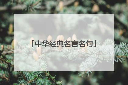 中华经典名言名句
