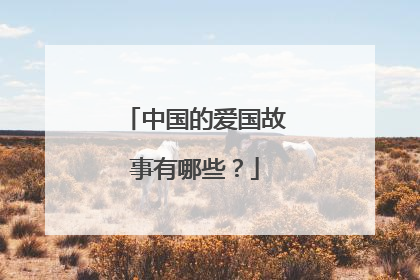 中国的爱国故事有哪些？