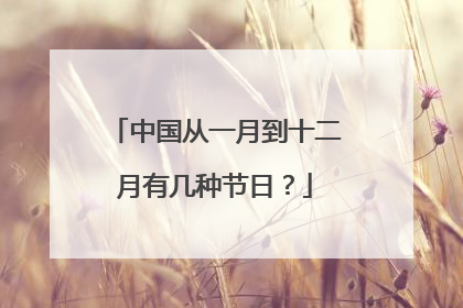 中国从一月到十二月有几种节日?