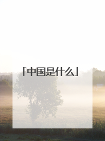 中国是什么