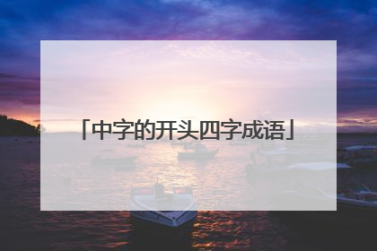 中字的开头四字成语