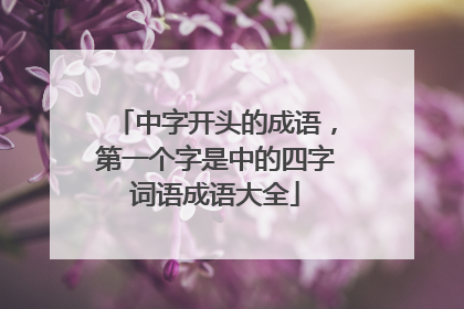 中字开头的成语，第一个字是中的四字词语成语大全