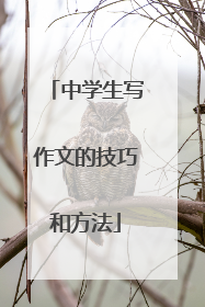 中学生写作文的技巧和方法
