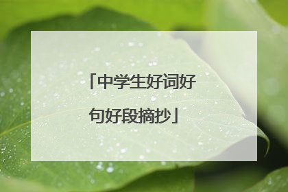 中学生好词好句好段摘抄