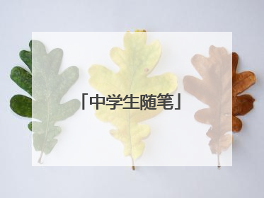中学生随笔