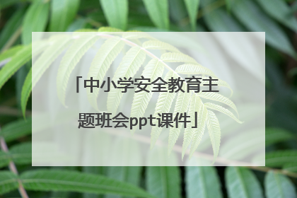 中小学安全教育主题班会ppt课件