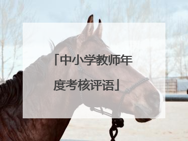 中小学教师年度考核评语